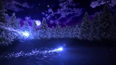 圣诞节粒子节日祝福视频的预览图